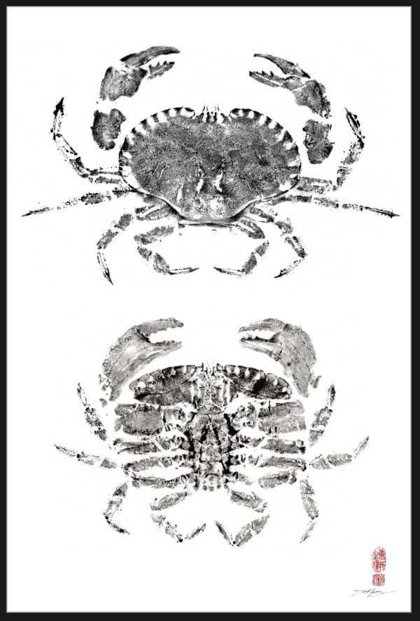 European Brown Crab Top & Bottom