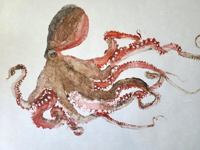 Brown Red Octopus