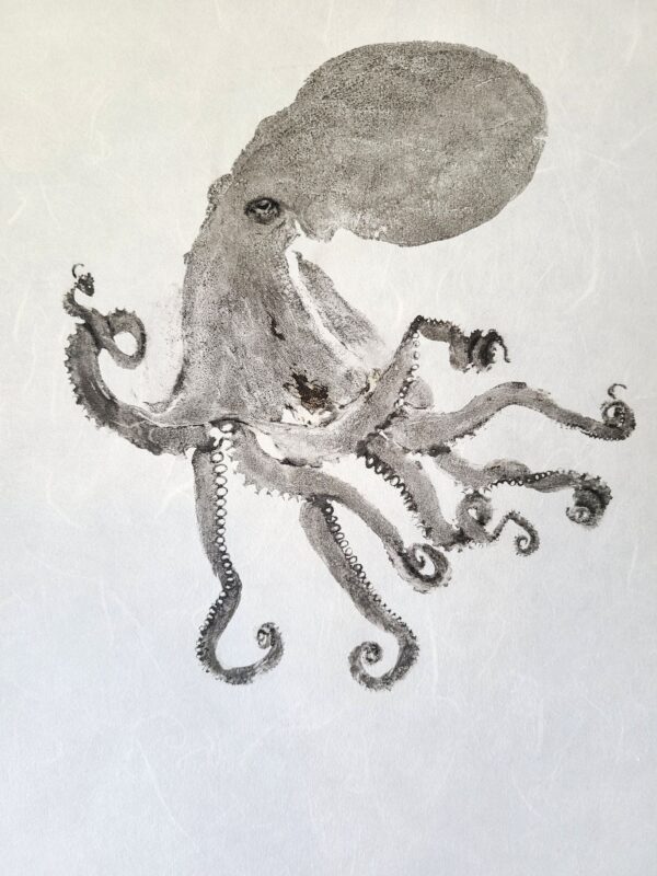 Small Octopus