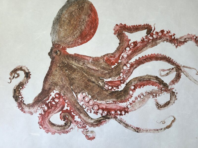 Brown Red Octopus
