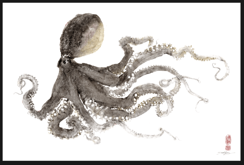 European Octopus Purple & Gray Color Reproduction