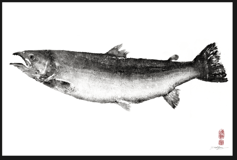 Atlantic Salmon Reproductions