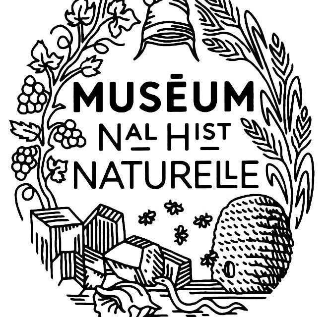 Museum of natural history logo